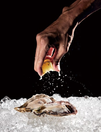Oyster Lemon